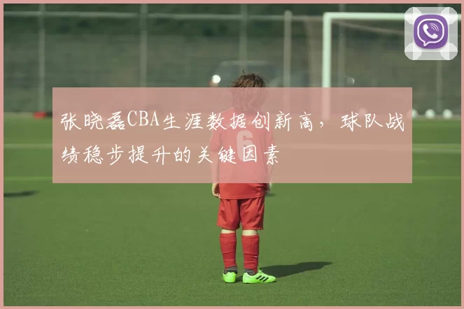 张晓磊CBA生涯数据创新高，球队战绩稳步提升的关键因素