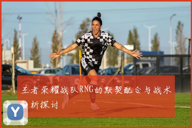 王者荣耀战队RNG的默契配合与战术分析探讨