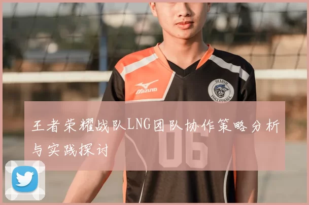王者荣耀战队LNG团队协作策略分析与实践探讨