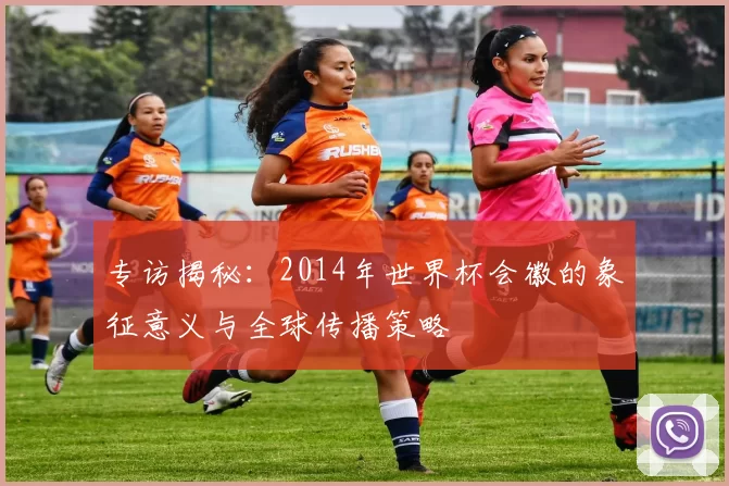 专访揭秘：2014年世界杯会徽的象征意义与全球传播策略