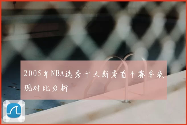 2005年NBA选秀十大新秀首个赛季表现对比分析
