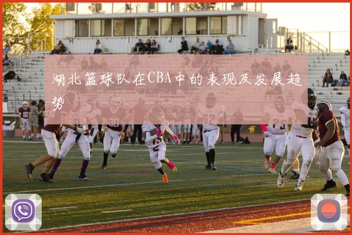 湖北篮球队在CBA中的表现及发展趋势