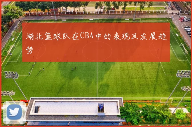 湖北篮球队在CBA中的表现及发展趋势