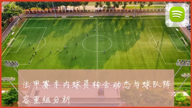 法甲赛季内球员转会动态与球队阵容重组分析