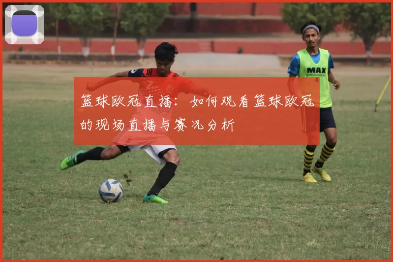 篮球欧冠直播：如何观看篮球欧冠的现场直播与赛况分析