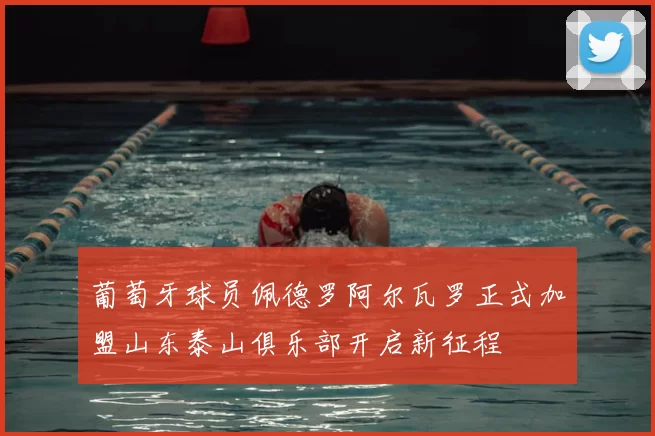 葡萄牙球员佩德罗阿尔瓦罗正式加盟山东泰山俱乐部开启新征程