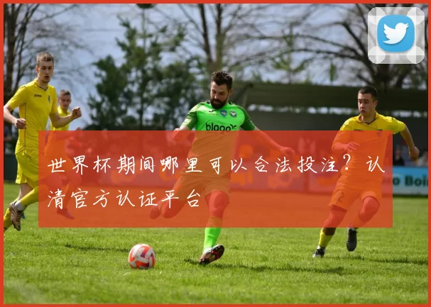 世界杯期间哪里可以合法投注?认清官方认证平台