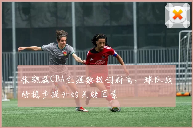 张晓磊CBA生涯数据创新高，球队战绩稳步提升的关键因素