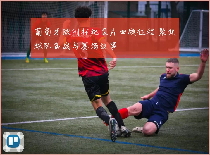 葡萄牙欧洲杯纪录片回顾征程 聚焦球队备战与赛场故事