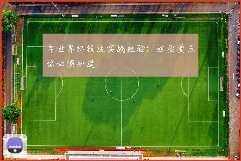 年世界杯投注实战经验：这些要点你必须知道