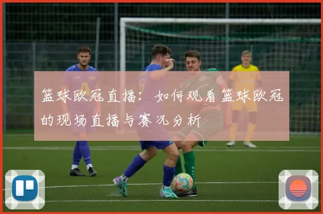 篮球欧冠直播：如何观看篮球欧冠的现场直播与赛况分析