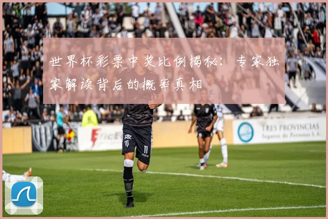 世界杯彩票中奖比例揭秘：专家独家解读背后的概率真相