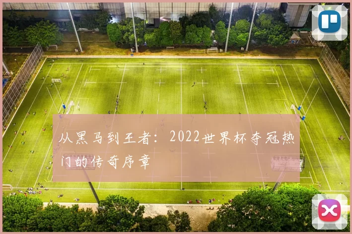 从黑马到王者：2022世界杯夺冠热门的传奇序章