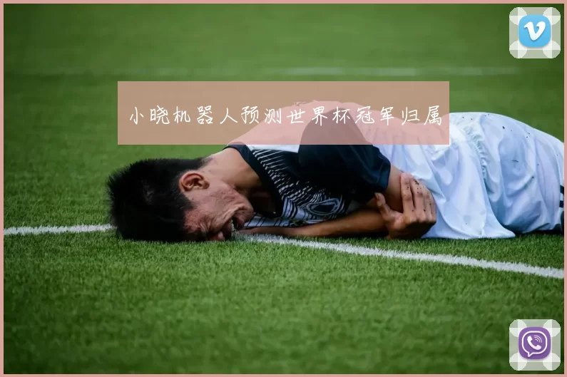 小晓机器人预测世界杯冠军归属