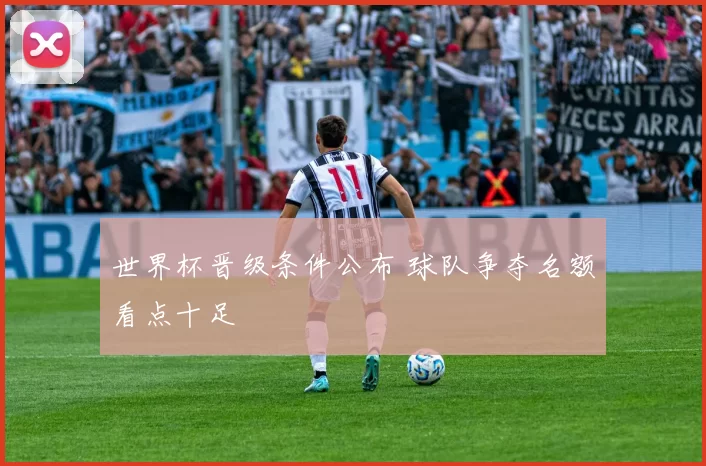 世界杯晋级条件公布 球队争夺名额看点十足