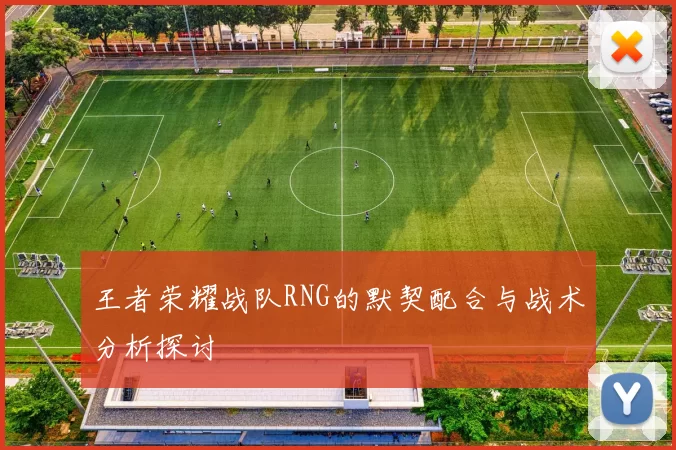 王者荣耀战队RNG的默契配合与战术分析探讨