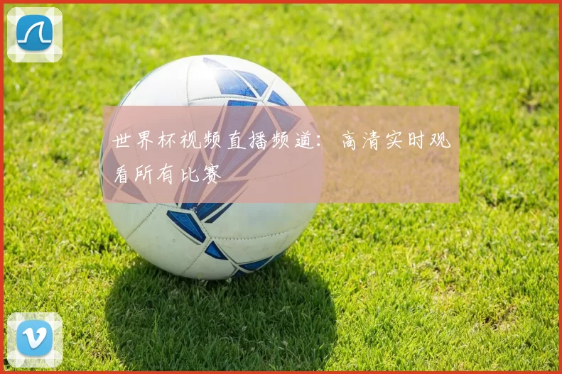 世界杯视频直播频道:高清实时观看所有比赛