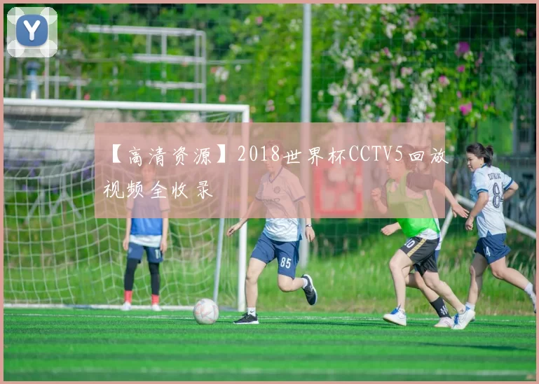【高清资源】2018世界杯CCTV5回放视频全收录