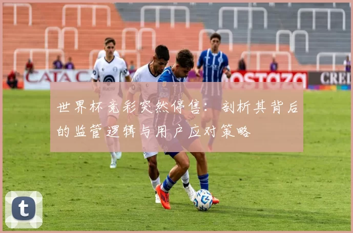 世界杯竞彩突然停售：剖析其背后的监管逻辑与用户应对策略