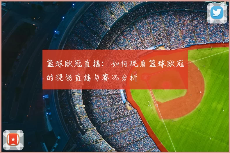 篮球欧冠直播：如何观看篮球欧冠的现场直播与赛况分析