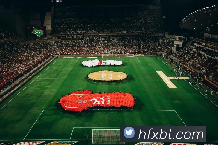 爱游戏体育平台生态图