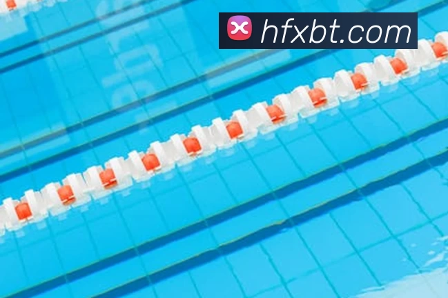 爱游戏体育APP 封面图